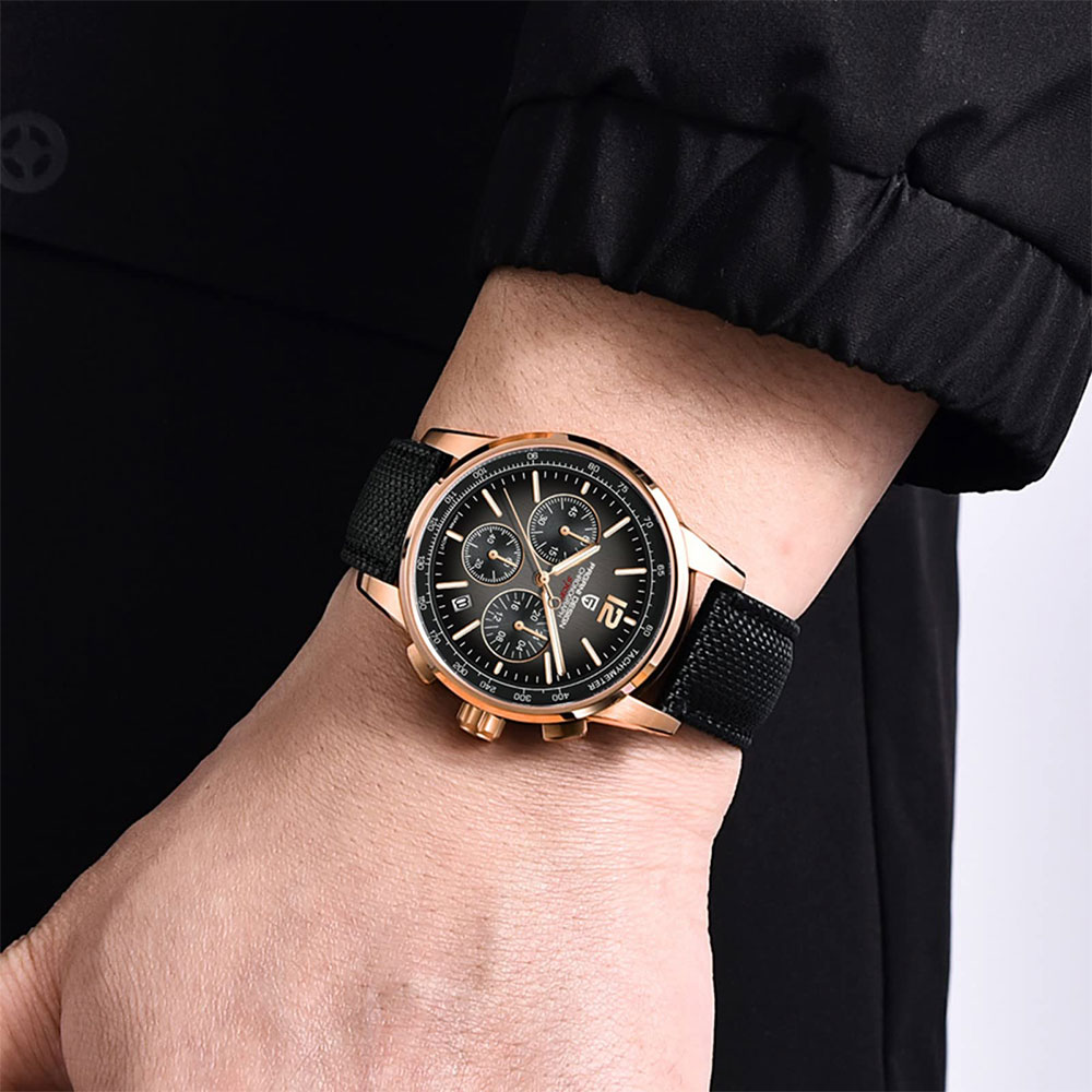 PAGANI DESIGN New Mens Watch 4 - Anti-Magnetic Watch 评论和价格
